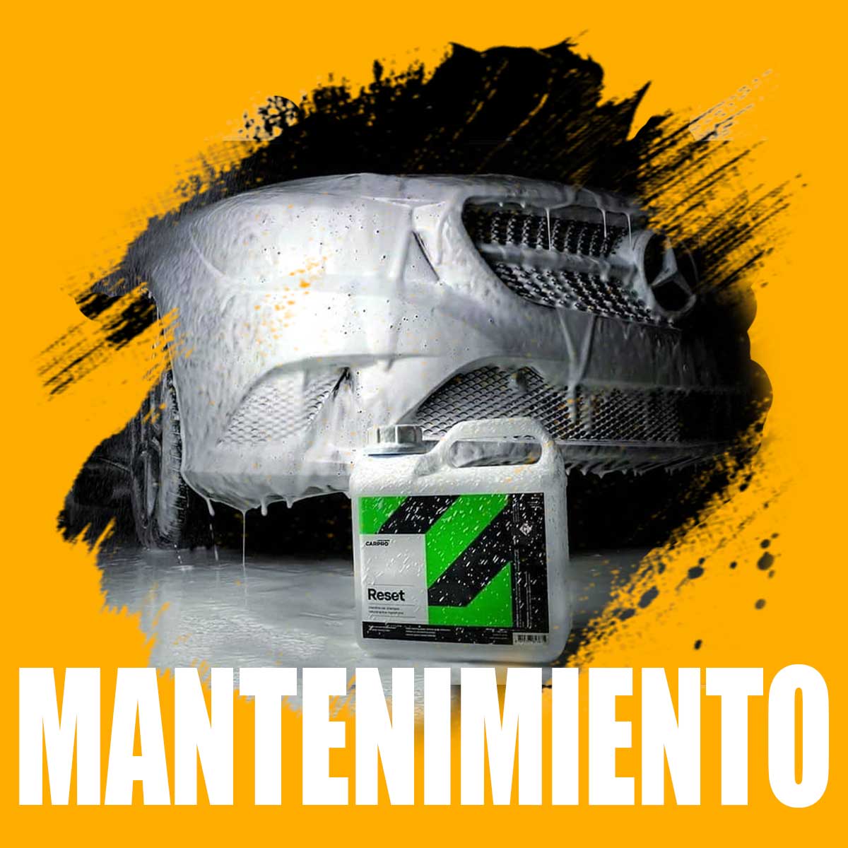 03 MANTENIMIENTO - Shampoo neutro, limpieza, Dressing